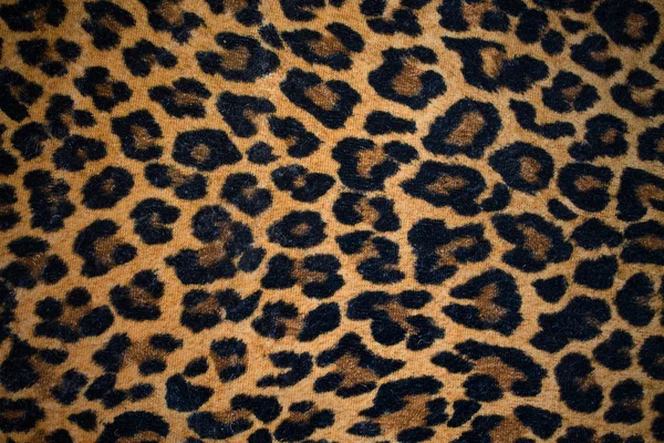 leopar doku