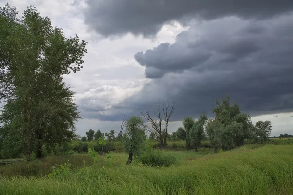 Before a rain — Stock Photo, Image