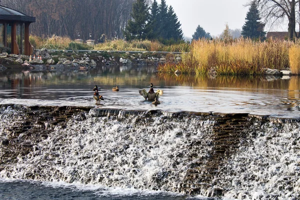 Damm med vattenfall — Stockfoto