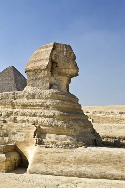 Statue der Sphinx — Stockfoto