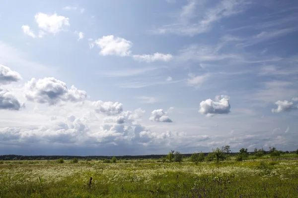 Paysage d'été — Photo