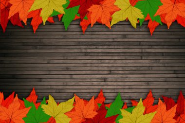 akçaağaç yaprakları