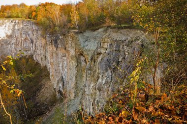 Sonbahar manzarası. Kayalık bir uçurumun kenarındaki orman. Sarı sonbahar ağaçları.