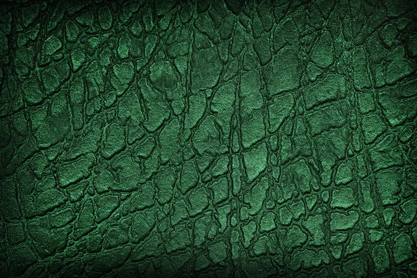 Background crocodile leather — Stock Photo, Image