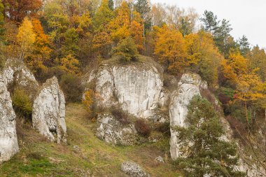 Sonbahar manzarası. Kireçtaşı kayalıkları ve sarı sonbahar ağaçları olan Mountainside.