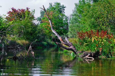 ile küçük bir nehir manzara