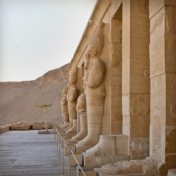 Statue di Hatshepsut — Foto Stock