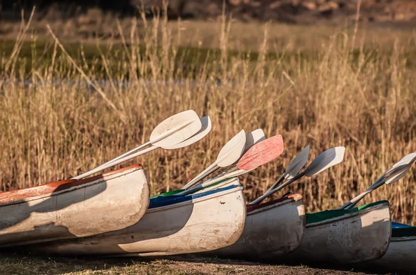 Kayaks ready to go — Stock Photo, Image