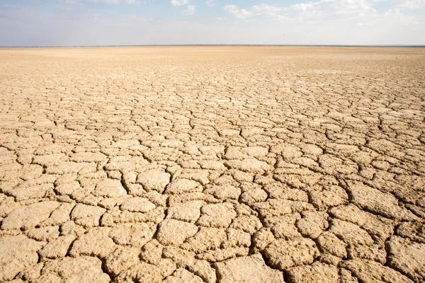 Haakskeen Pan Kalahari