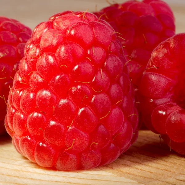 Framboise de près — Photo