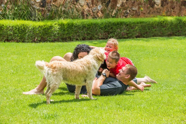 Familie plezier op het gazon — Stockfoto