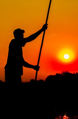 Okavango Deltası'nda Poler silüeti