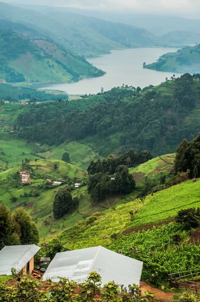 Lake Bunyonyi magasba nézett. — Stock Fotó