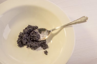 Havyar ve gümüş kaşık