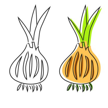 Vektör olarak soğan çizimi yap. Vektörde renkli oninon simgesi.
