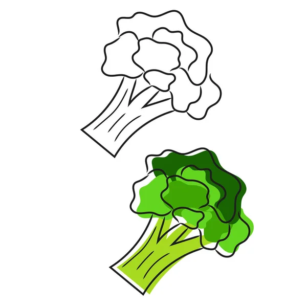 Doodle broccoli ізольовані на білому тлі. Мальована рука ілюстрація . — стоковий вектор