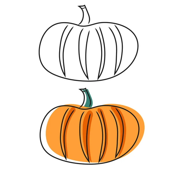 Orange pumpkin doodle linear pumpkin with strokes for the holiday. — Stock Vector