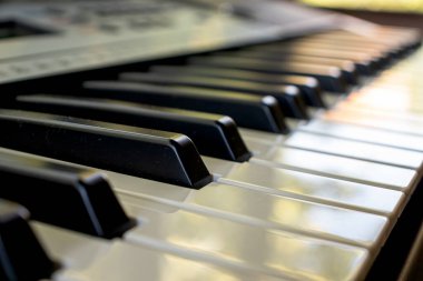 Piyano klavyesinin piyano arkaplanını çalan siyah ve beyaz sentezleyici tuşlar.