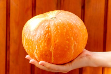 Elleriniz portakal kabağı bahar zamanı sıcak ahşap sebzeler pişirmek için.