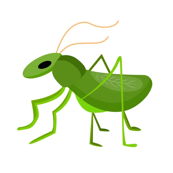 Grasshopper Symbol Good Luck Isolated Vector Item White Background Success — Stockový vektor