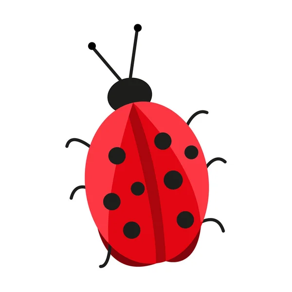 瓢虫是好运的象征 白色背景上的分离向量项 成功的象征简单的设计 — 图库矢量图片