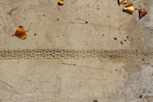 Hormigón Con Rastro Una Rueda Hojas Caídas Fondo Textura — Foto de Stock