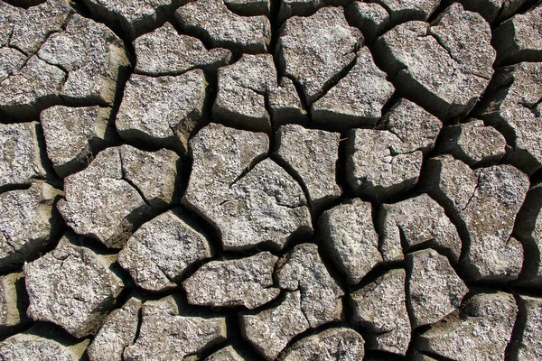 Dried Cracked Lake Bottom Background Texture — Stock Photo, Image