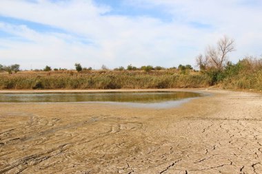 Çatlamış toprak ve bitkilerle kurumuş göl