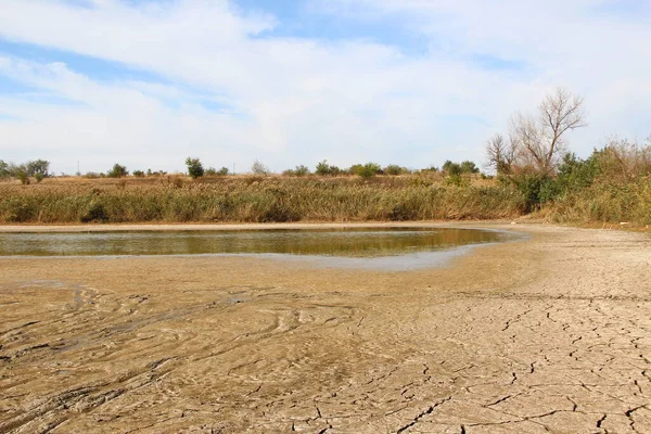 Çatlamış toprak ve bitkilerle kurumuş göl