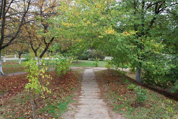 秋天公园的小路 — 图库照片
