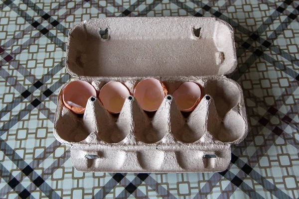 Eggshell in the carton egg box