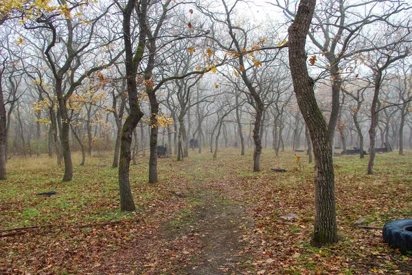 Camino Través Del Bosque Otoñal Sin Hojas Niebla —  Fotos de Stock