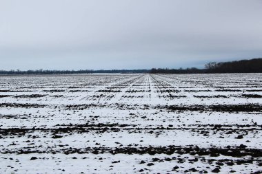 Kötü havada tarla karla kaplıydı.