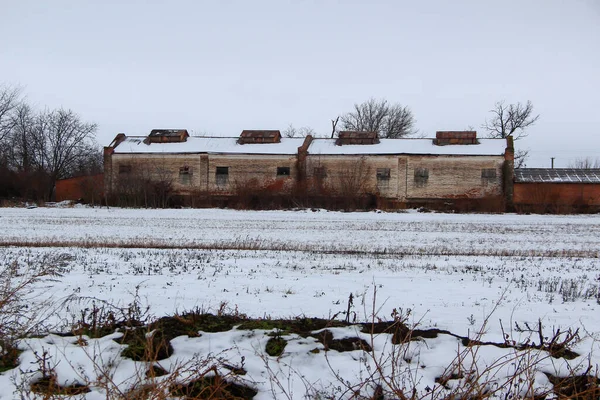 Alter Verlassener Bauernhof Verschneites Feld Und Strommasten Hintergrund — Stockfoto