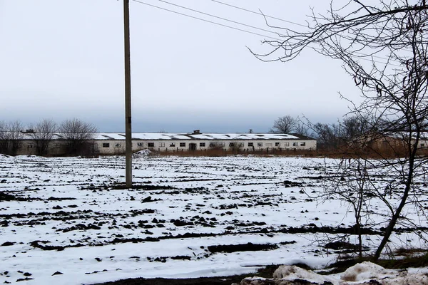 Oude Verlaten Boerderij Besneeuwd Veld Elektrische Leidingen — Stockfoto