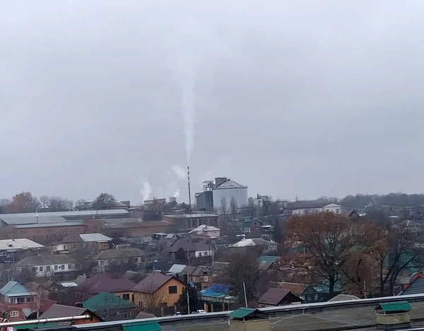 Crémerie Fume Jour — Photo