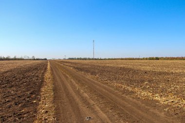 Toprakta mısır kalıntıları var.