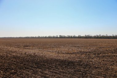 Pürüzsüz tarla ve güzel bir hava.