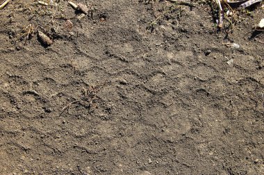 Kuru tarımsal alanda tarım makinelerinin izleri. Tarım sahnesi.