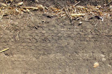Kuru tarımsal alanda tarım makinelerinin izleri. Tarım sahnesi.