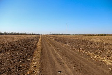 Toprakta mısır kalıntıları var.