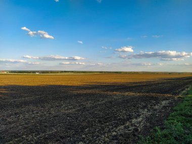 Uzakta tarlalar ve üzüm bağları