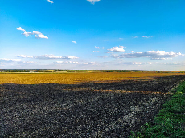 Fields and vineyards in the distance