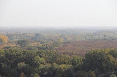 Sonbaharda ağaçlar ve nehir sisli olur.