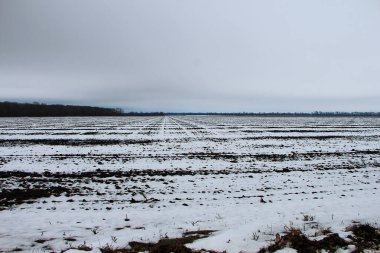 Kış tarlaları kar altında ve bulutlar gökyüzünde