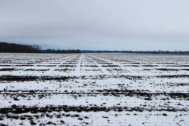 Kötü havada tarla karla kaplıydı.