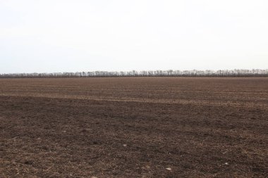 Kahverengi ekimden önce tarla sürmüş.