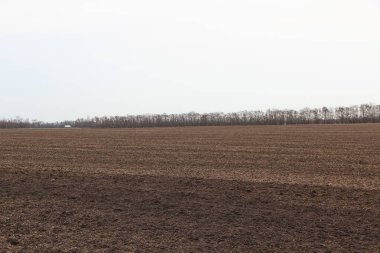 Kahverengi ekimden önce tarla sürmüş.