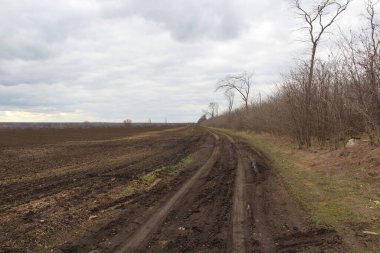 Rural road next to an agricultural field