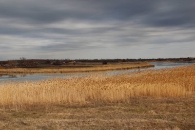 Kırsal kesimde sazlıklar olan nehir fırtınalı bir gökyüzünün arka planında